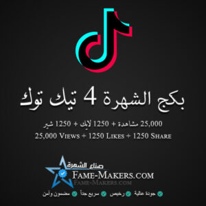 بكج الشهرة 4 تيك توك